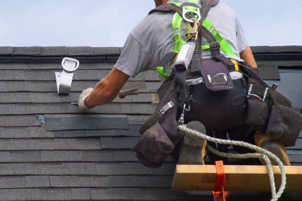 Best Metal Roofing Contractor  in Evans, CO