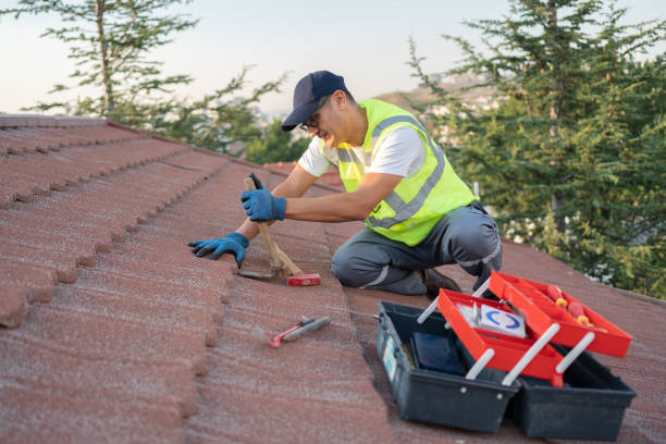 Best Roof Gutter Cleaning  in Evans, CO