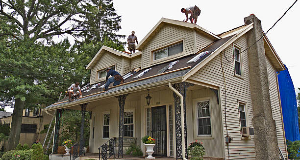 Best Roof Maintenance Services  in Evans, CO