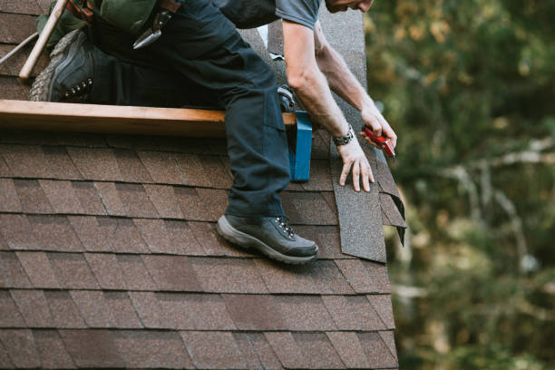 Best Roofing Contractor Near Me  in Evans, CO